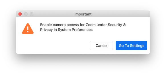Zoom Enable camera access